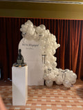 Deluxe Arch Backdrop